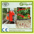 Tipo de electricidad Green Coffee Bean Peeling Machine